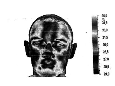 Рис 3. Съемка лица человека через тепловизор. (открытый доступ Internet) 